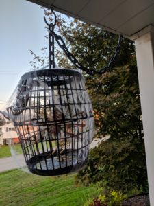 Halloween house tour - cage decoration