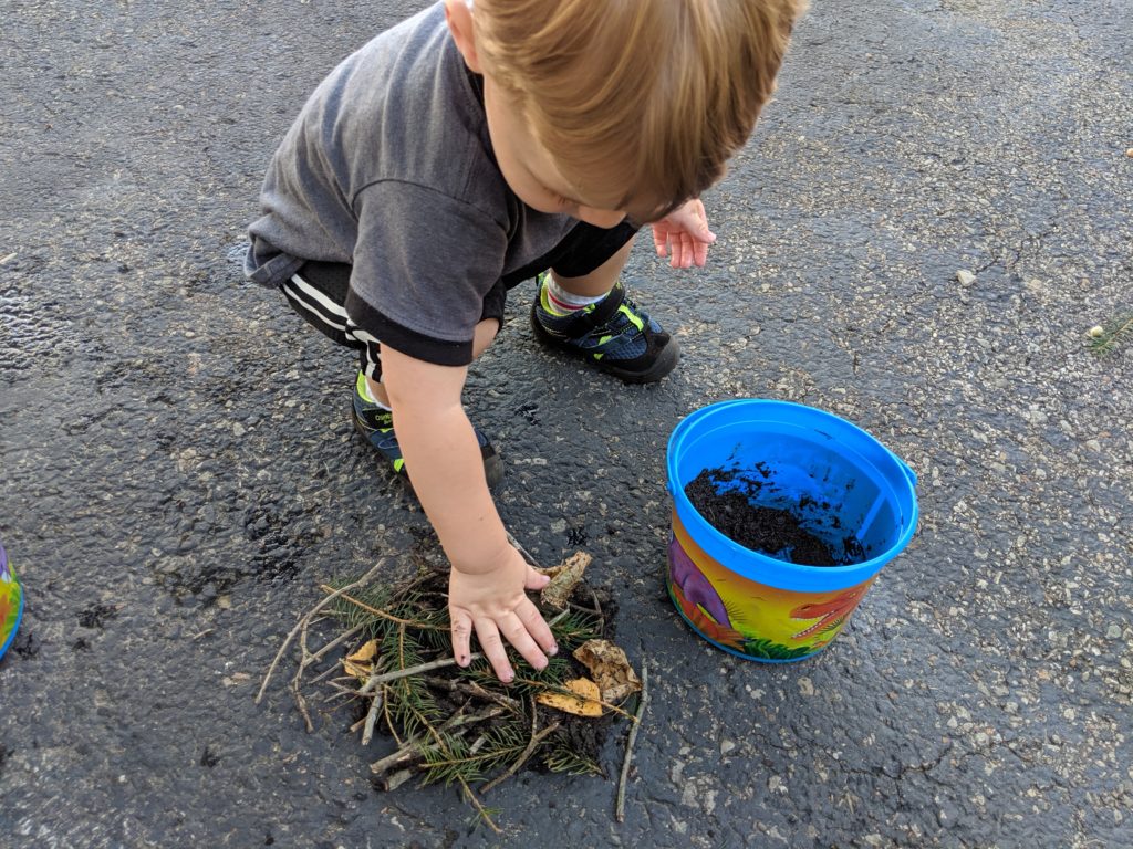 Birds nest camping activity