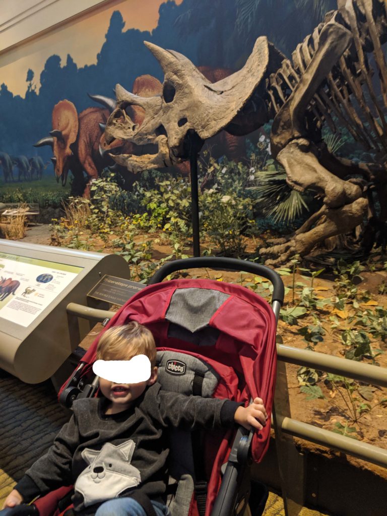 Little Man enjoying the Dinosaur bones
