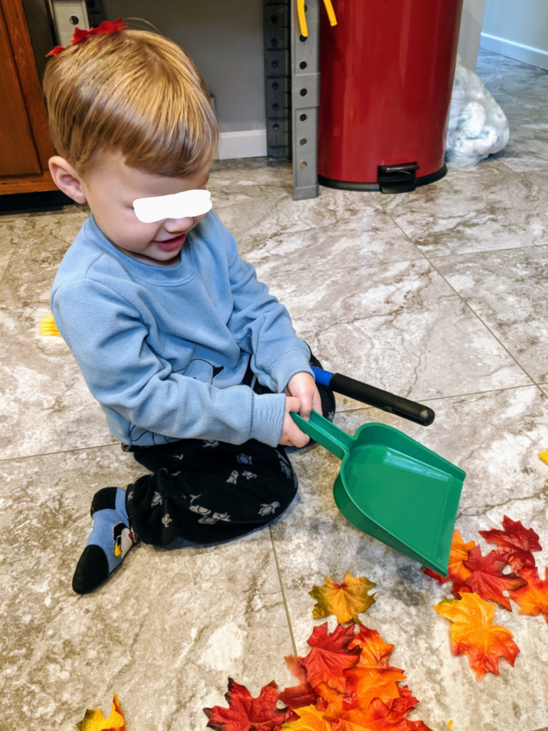 Little Man "raking" leaves.